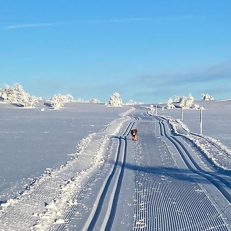 Koselig Familiehytte Pa Vakre Dagali - Naer Geilo Esterno foto