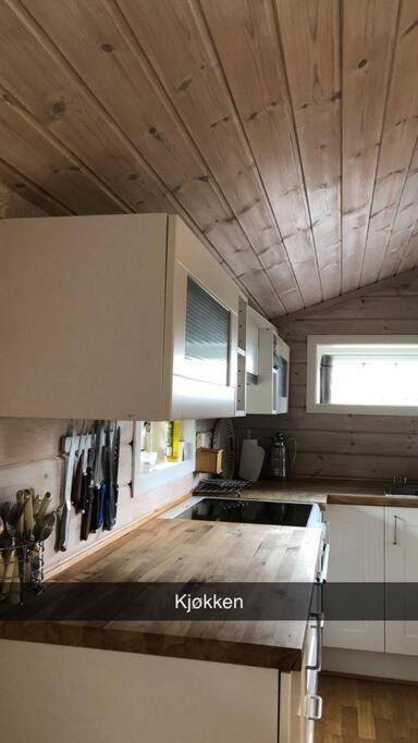 Koselig Familiehytte Pa Vakre Dagali - Naer Geilo Esterno foto