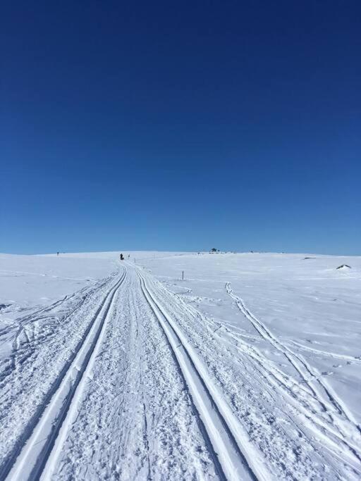 Koselig Familiehytte Pa Vakre Dagali - Naer Geilo Esterno foto