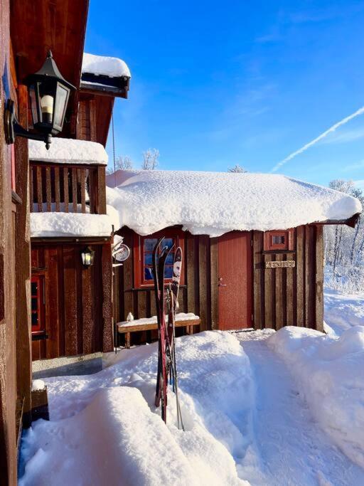 Koselig Familiehytte Pa Vakre Dagali - Naer Geilo Esterno foto