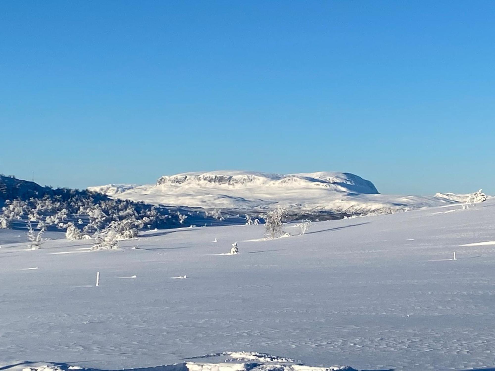 Koselig Familiehytte Pa Vakre Dagali - Naer Geilo Esterno foto