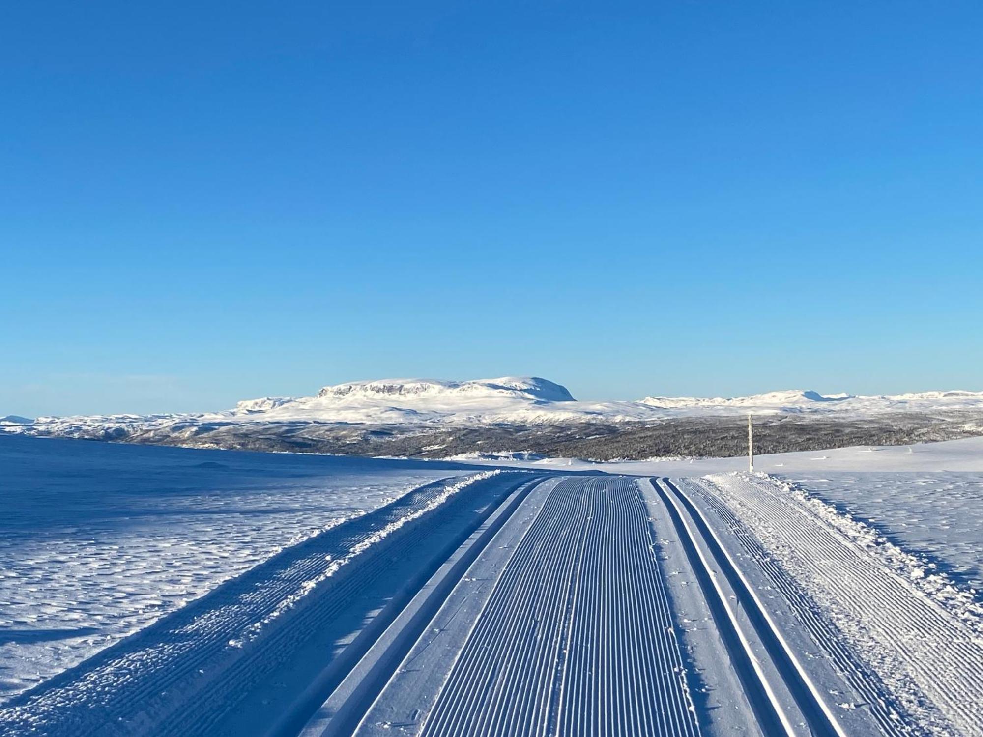 Koselig Familiehytte Pa Vakre Dagali - Naer Geilo Esterno foto